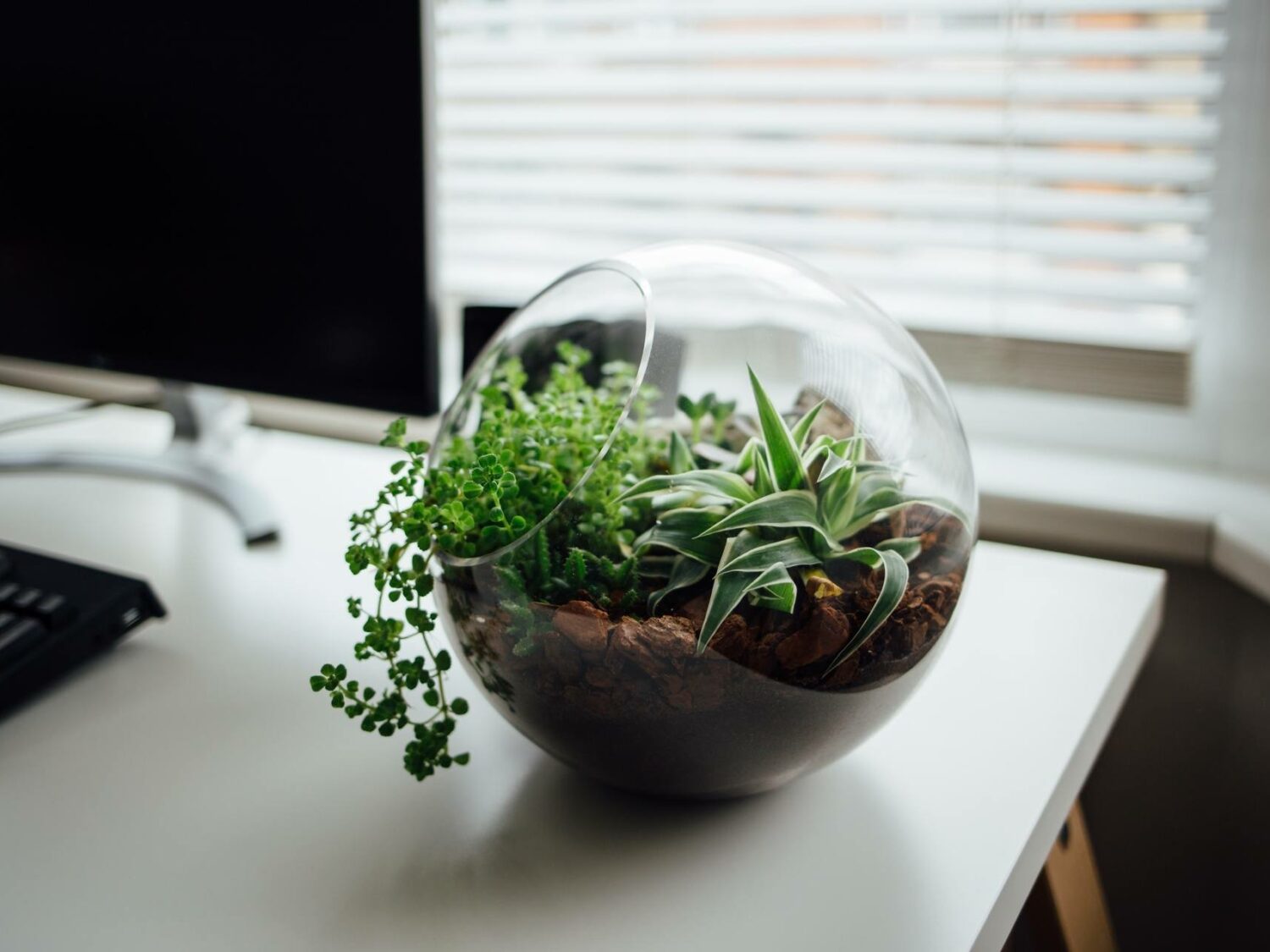 Ecological System in Office